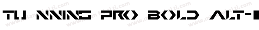 Tu NninG Pro Bold Alt字体转换